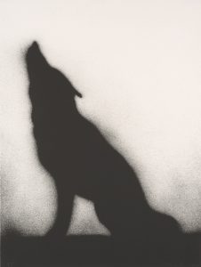 Ed Ruscha. Coyote, 1989; Lithograph; 36 x 27 (91.4 x 68.6 cm); Published by the artist. Fine Arts Museums of San Francisco, Museum purchase, Mrs. Paul L. Wattis Fund.