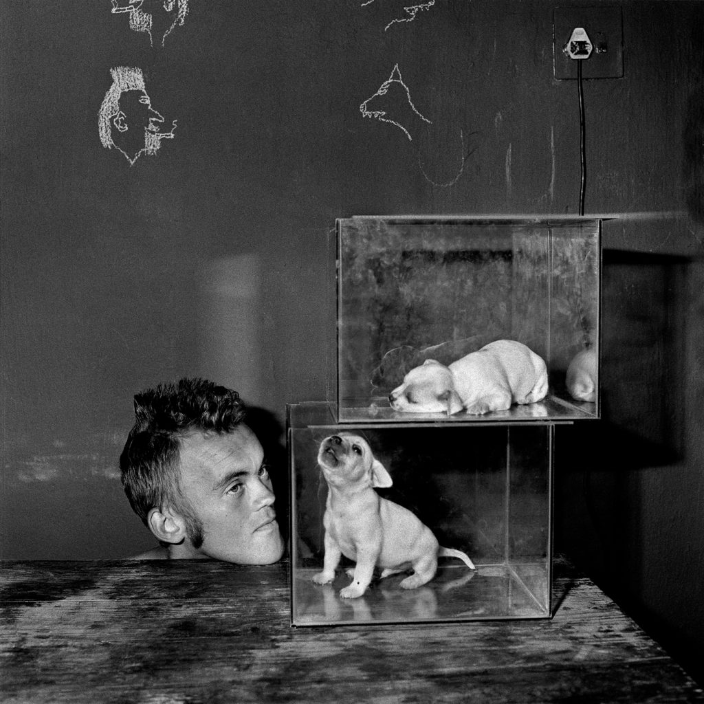 Roger Ballen. Puppies in Fishtanks, 2000